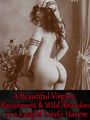 A Beautiful Virgin's Ravishment and Wild Abandon