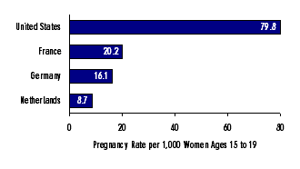 Diagram of the Adolescent Pregnancy Rate in the United States, France, Germany and the Netherlands